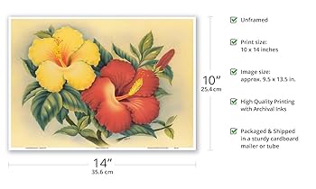 ハワイ絵画  Daniel Kim  ハイビスカス  アートプリント ハワイ絵画 Daniel Kim ハイビスカス アートプリント